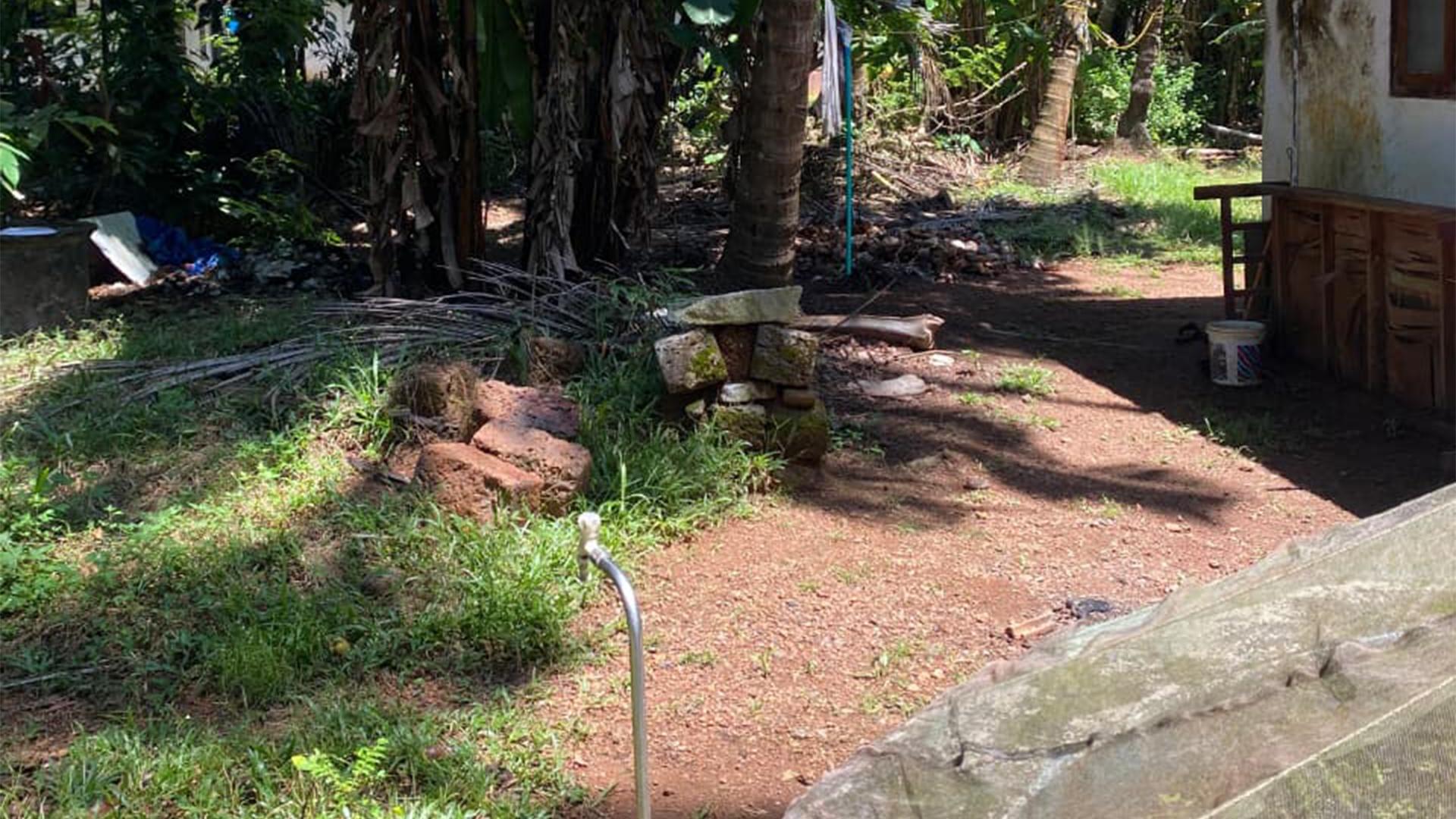 Plot At Dharmadam — photo 12