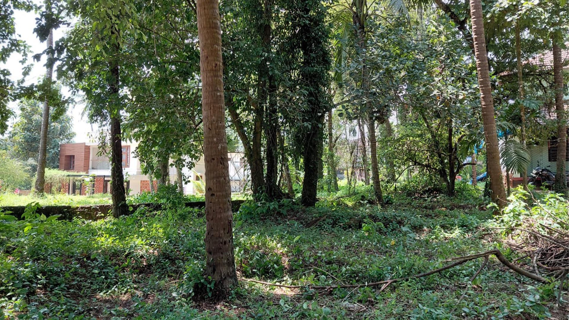 Plot At Kottayampoyil - Image 5