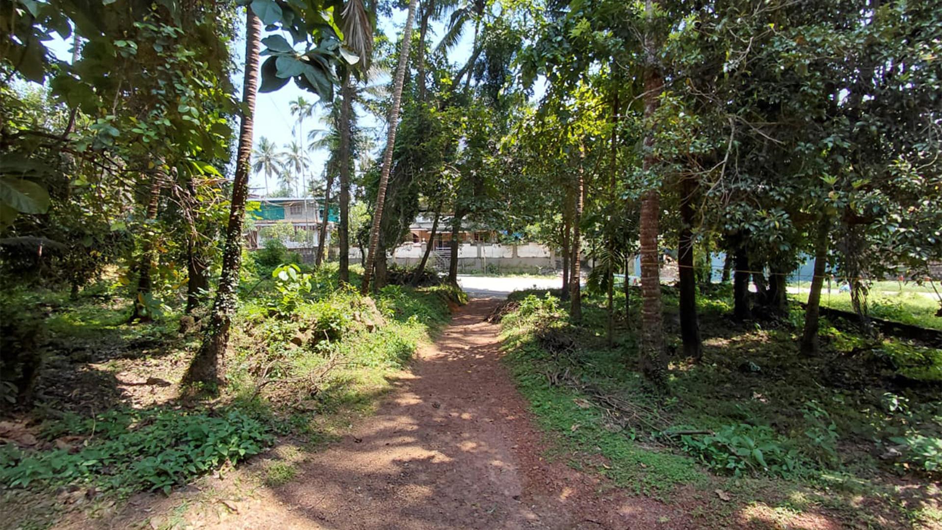 Plot At Kottayampoyil - Image 6