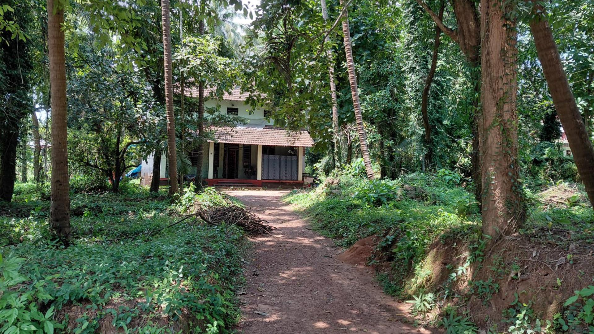 Plot At Kottayampoyil — photo 8
