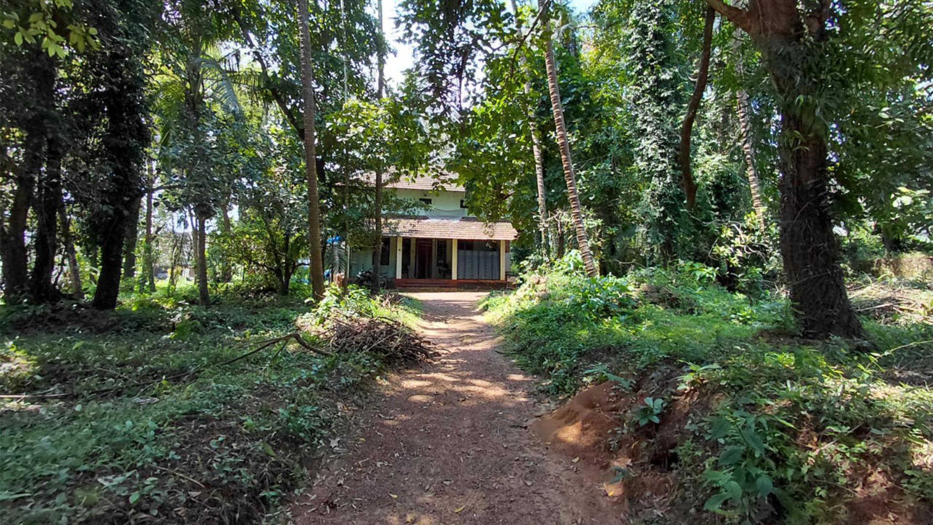 Plot At Kottayampoyil — photo 12