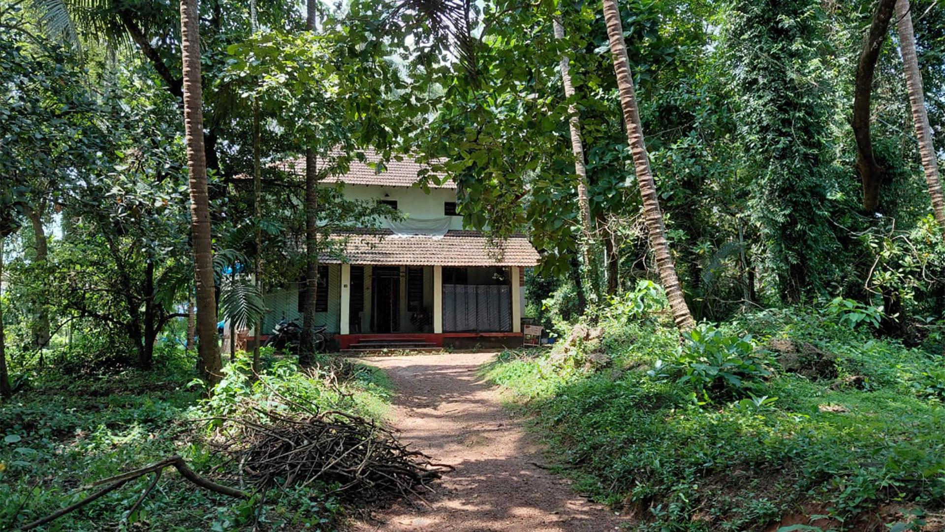 Plot At Kottayampoyil — photo 13