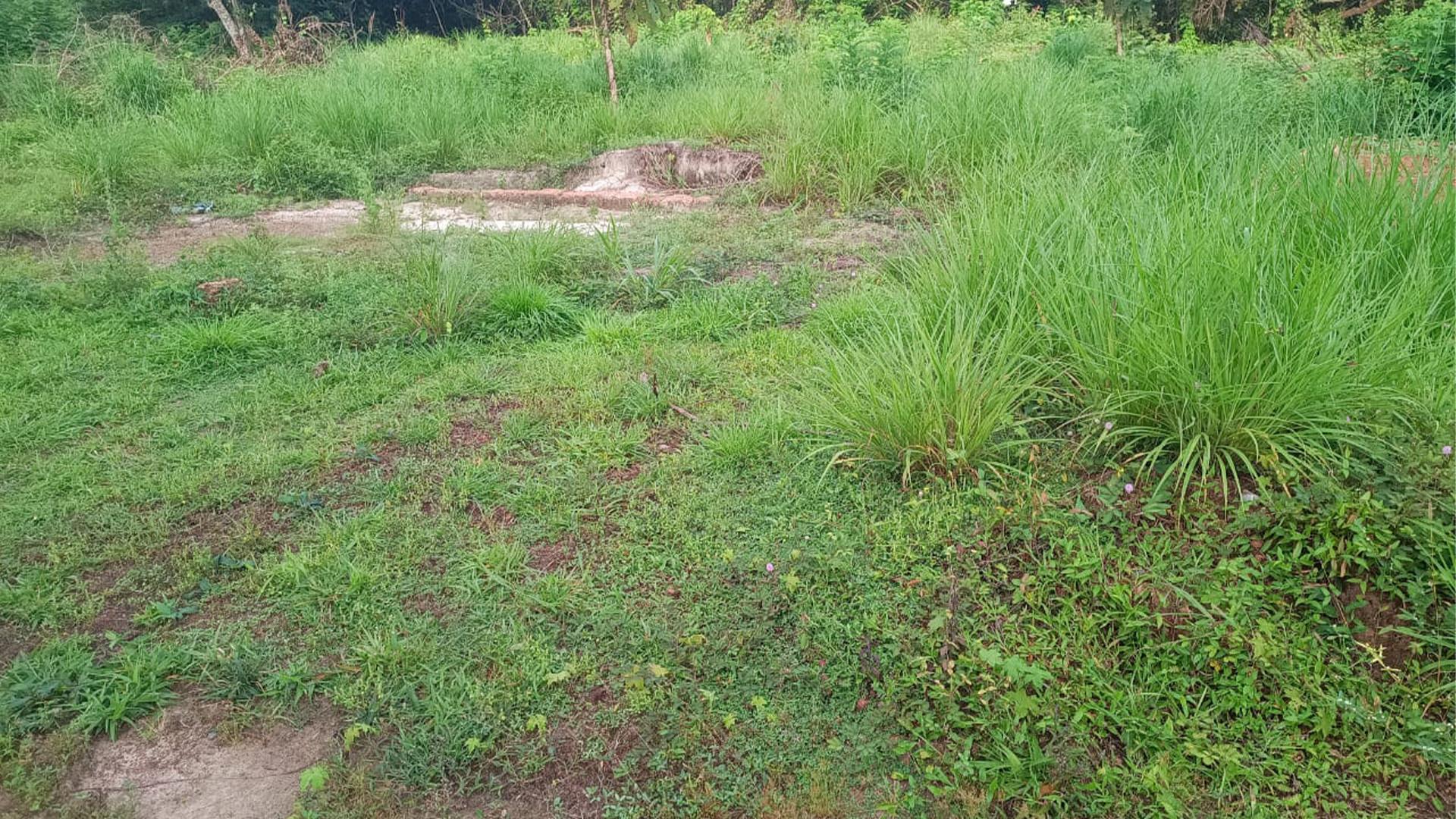 Plot At Mathukkoth - Image 5