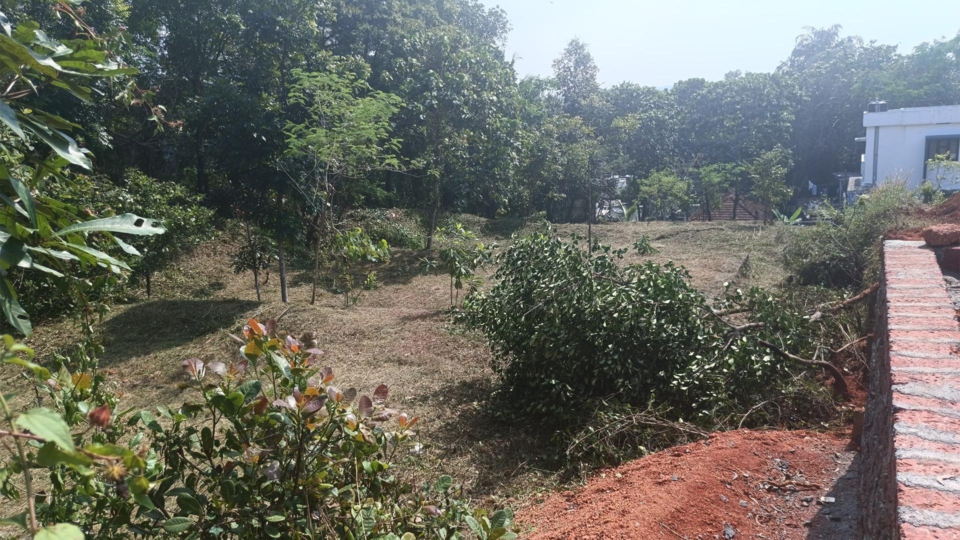 Plot At Palazhi - Image 2