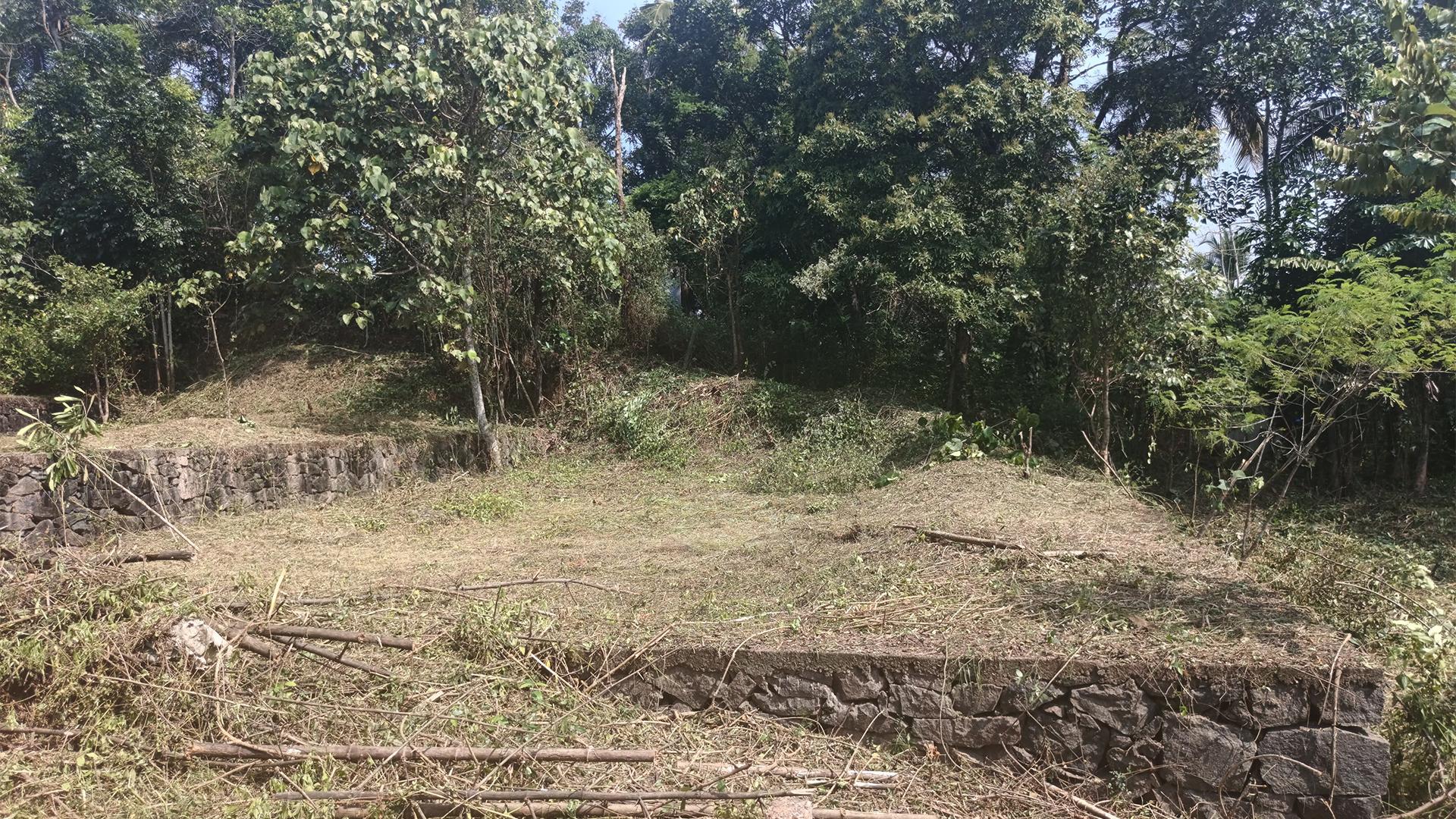 Plot At Palazhi - Image 3