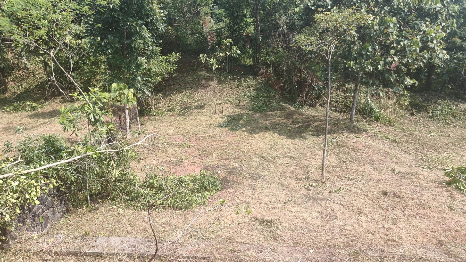 Plot At Palazhi - Image 4