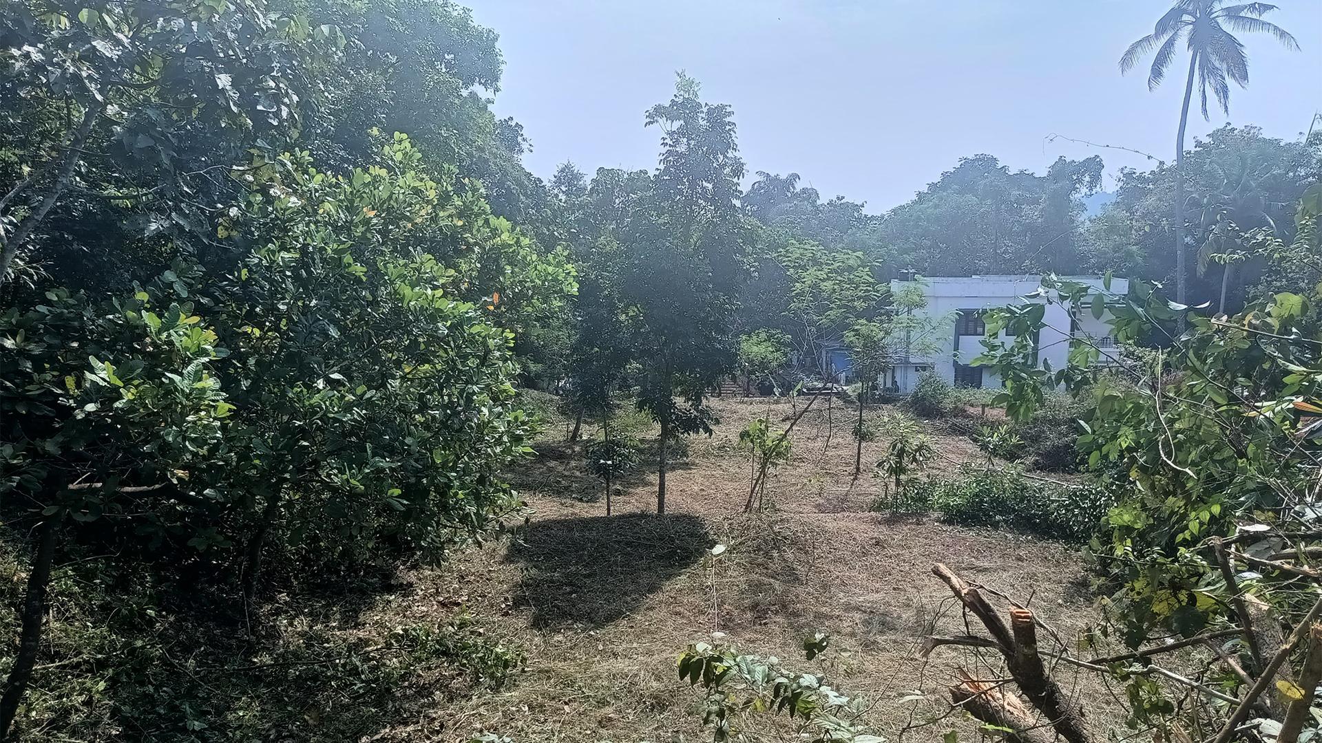 Plot At Palazhi - Image 5