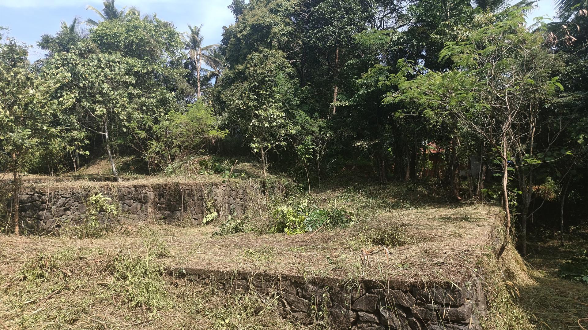 Plot At Palazhi - Image 6