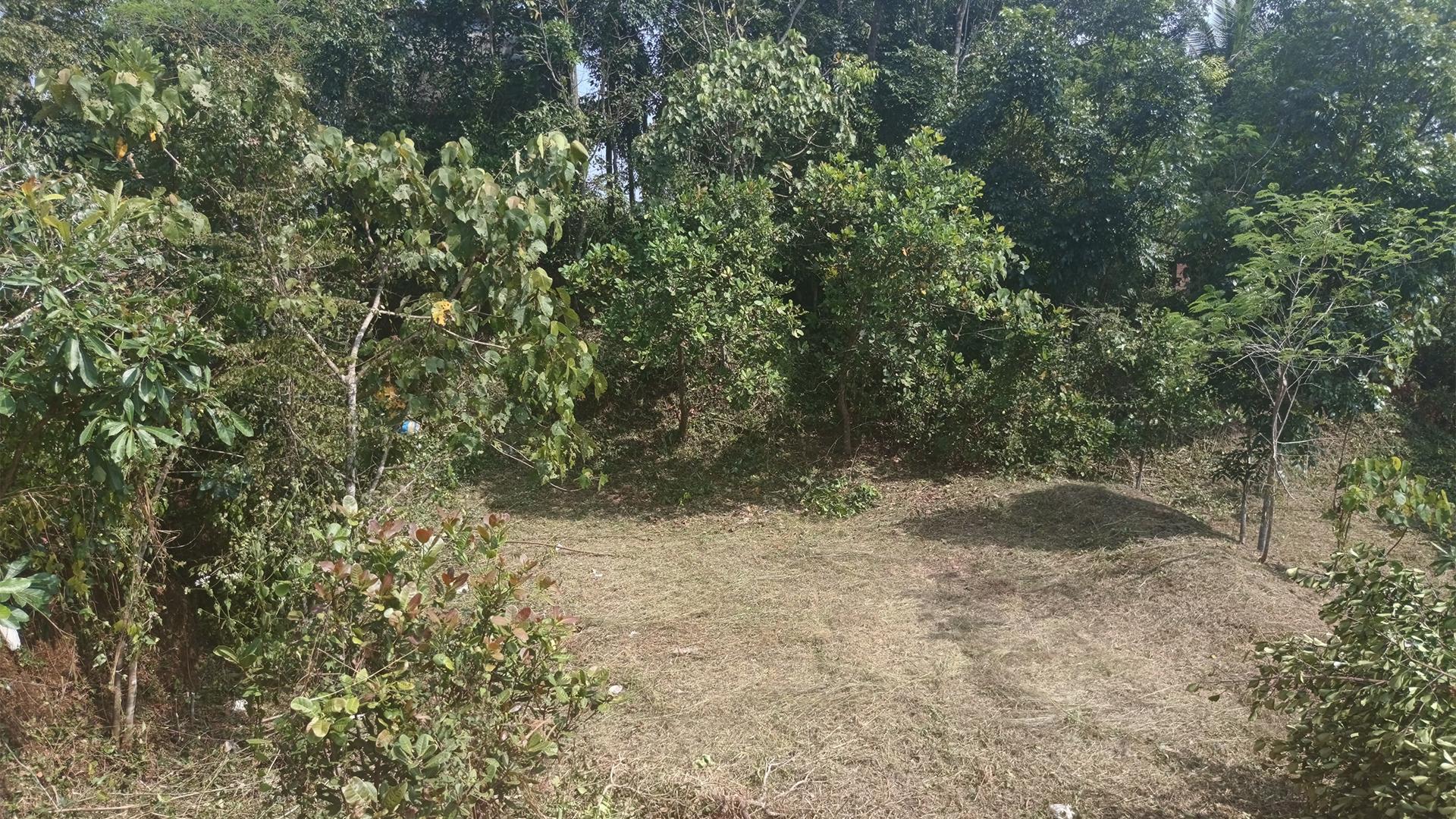 Plot At Palazhi — photo 7