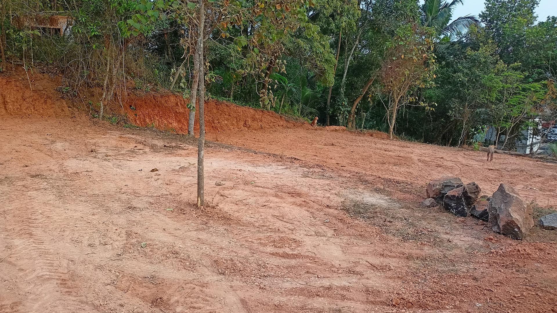 Plot At Palazhi — photo 8
