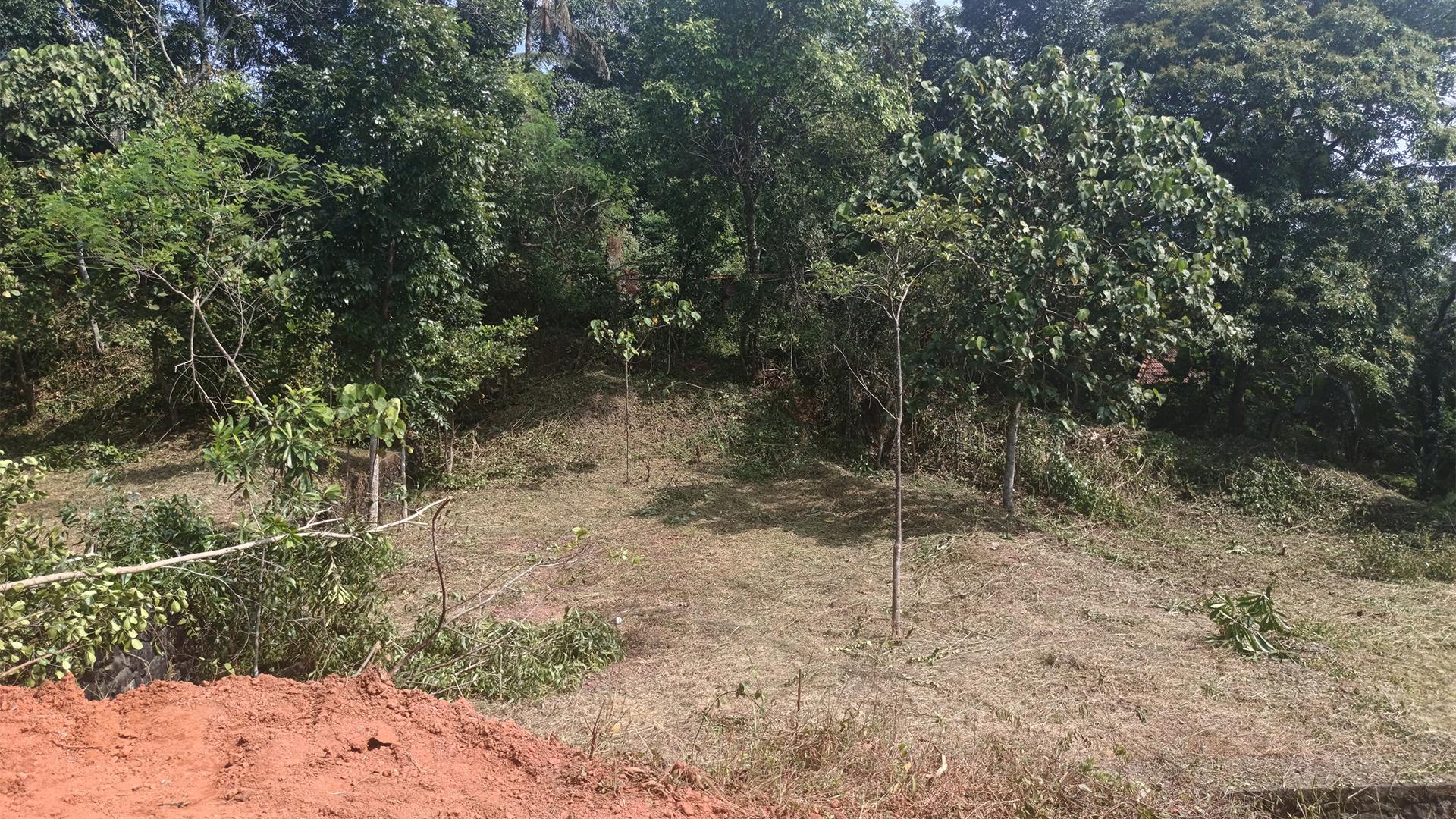 Plot At Palazhi — photo 9