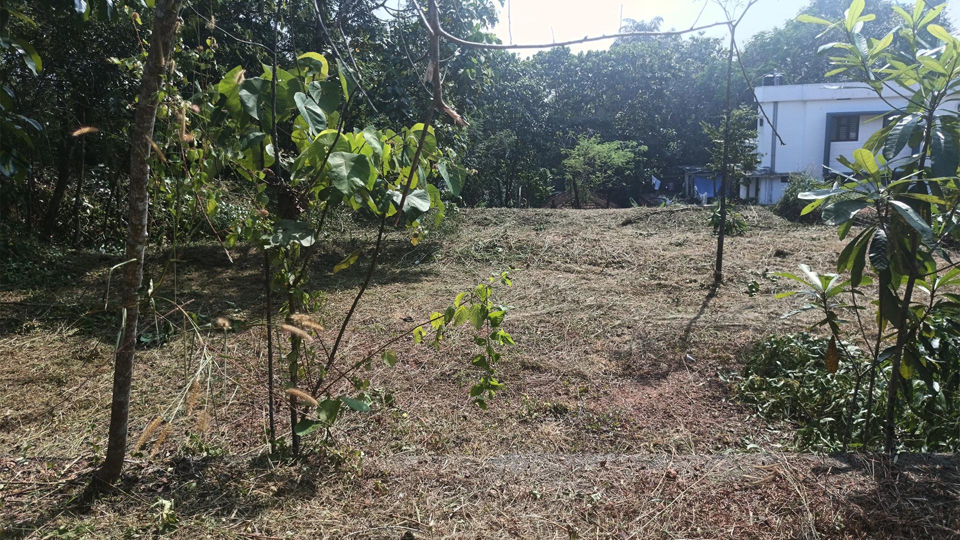 Plot At Palazhi — photo 10