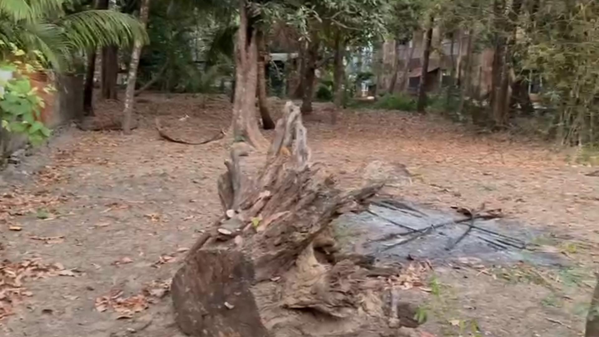 Plot At Guruvayur - Image 2