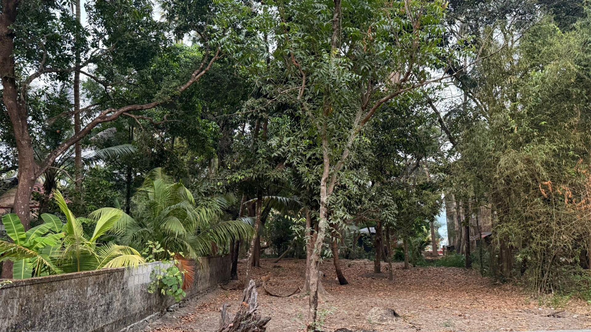 Plot At Guruvayur - Image 4