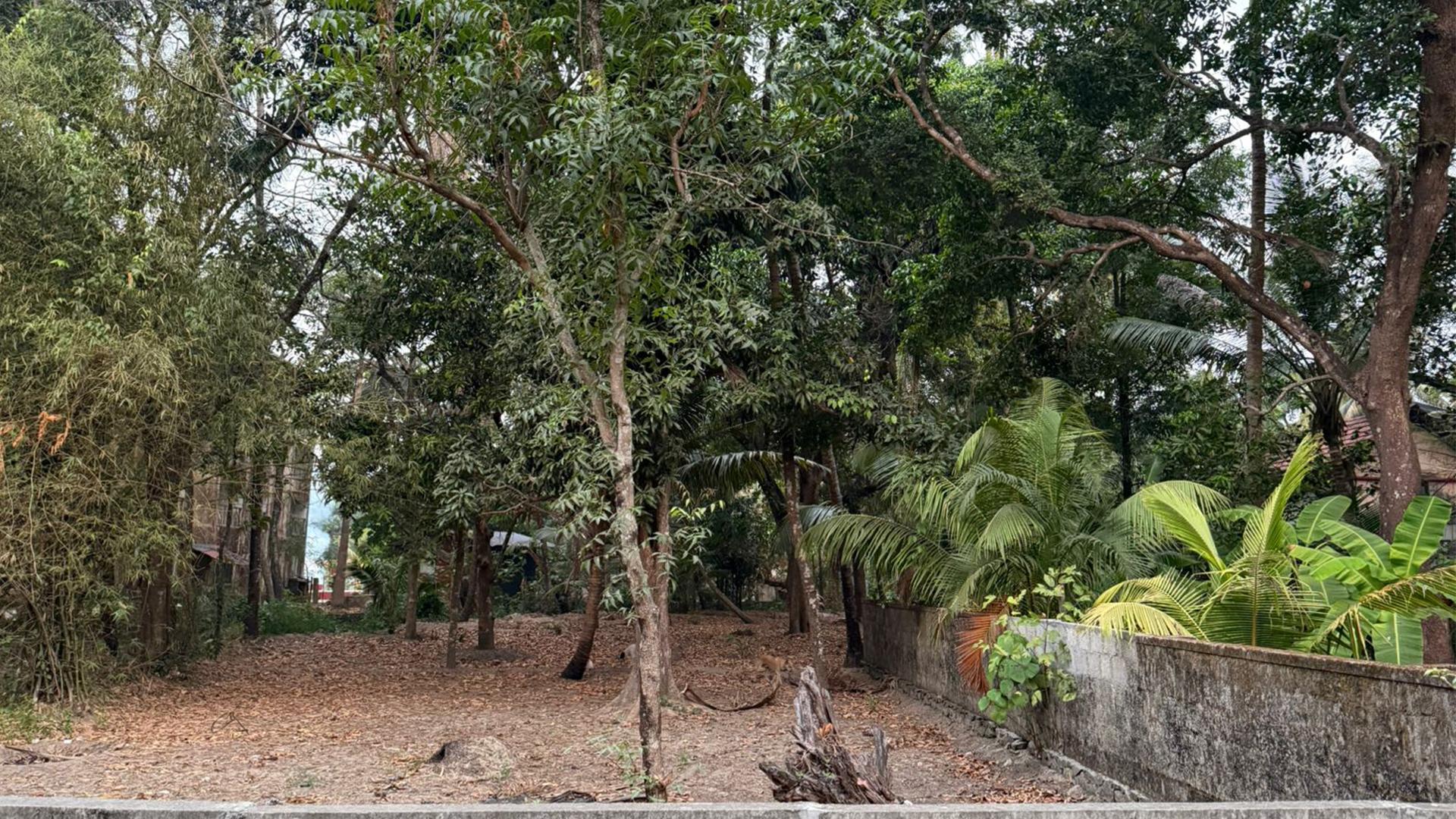 Plot At Guruvayur - Image 5