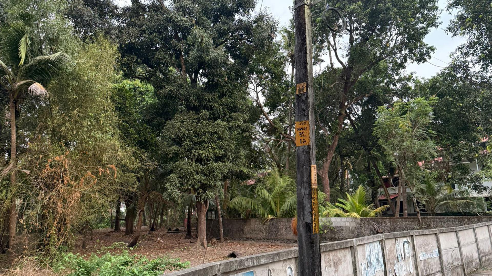 Plot At Guruvayur - Image 6