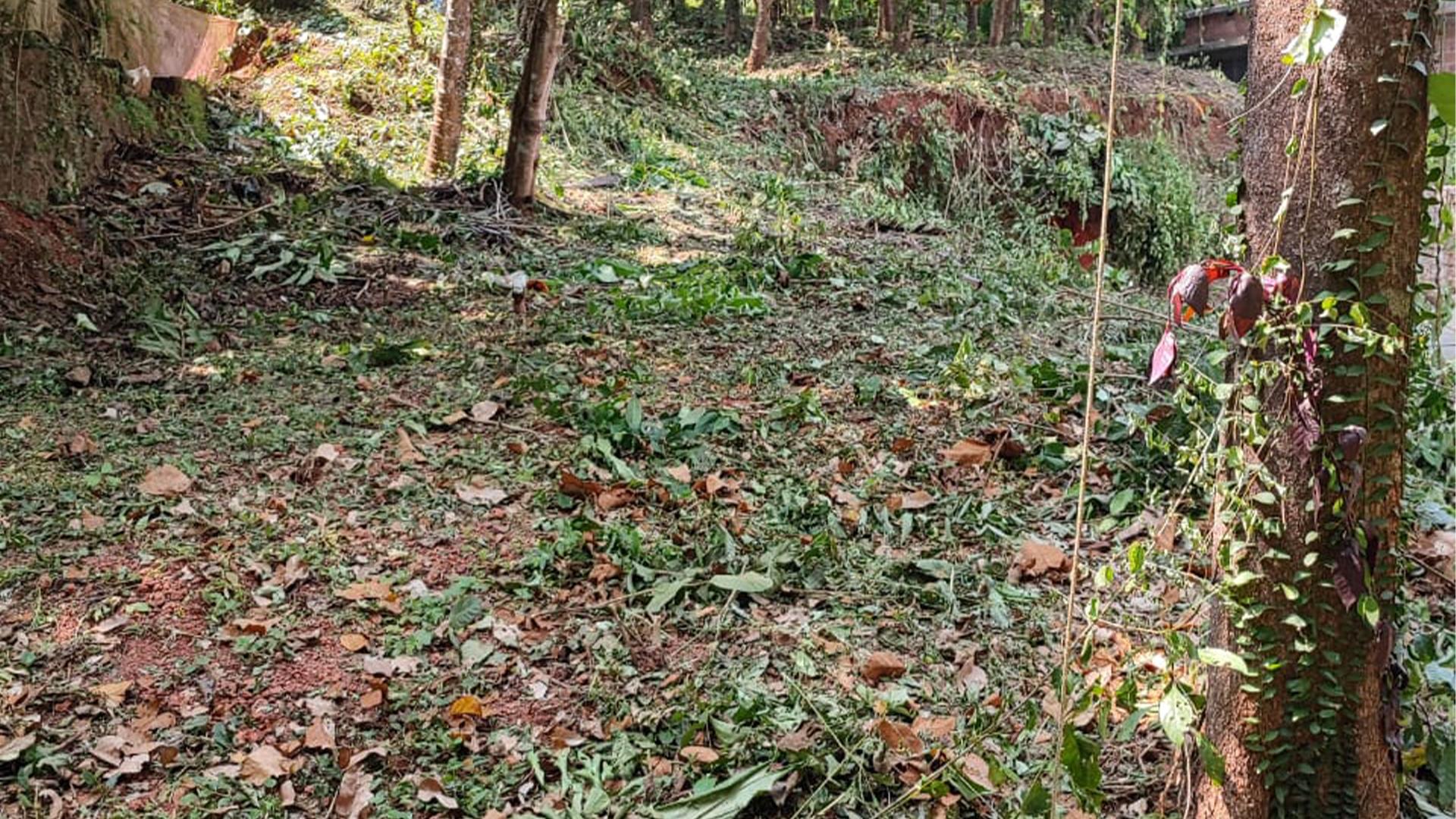 Plot At Ezhara, Nadal - Image 6