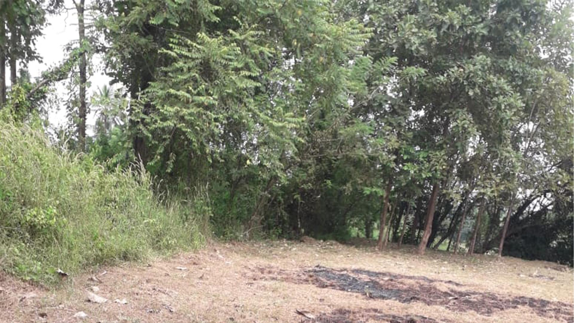 Plot At Kannadi — photo 9