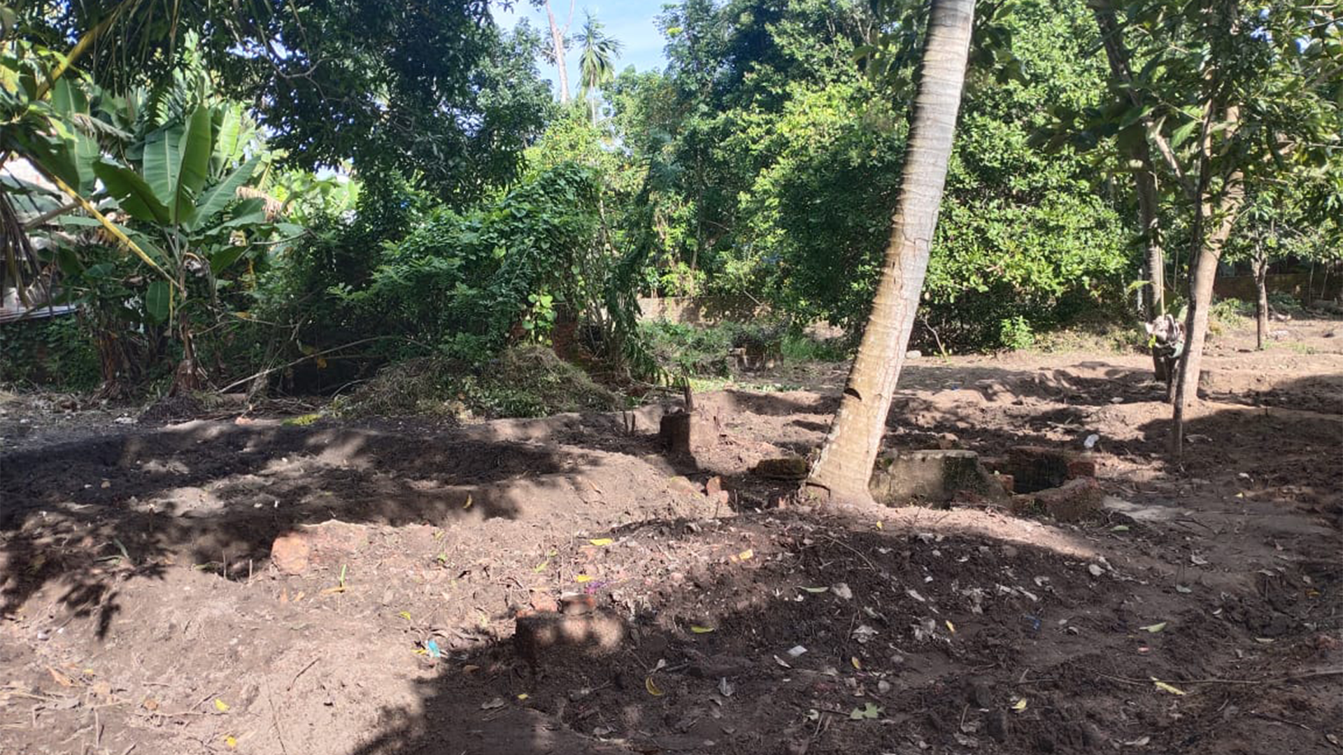 Plot At Chirayankeezhu - Image 4