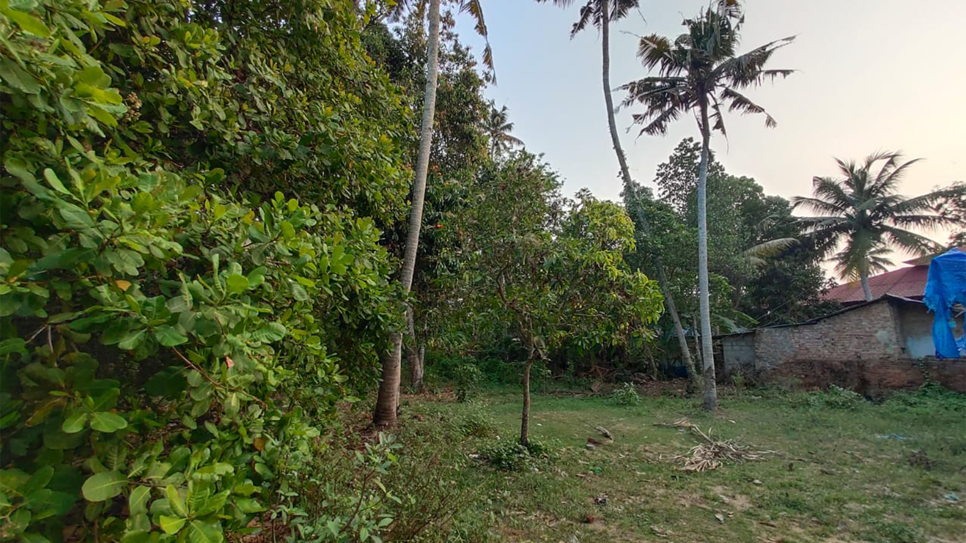 Plot At Chirayankeezhu — photo 8