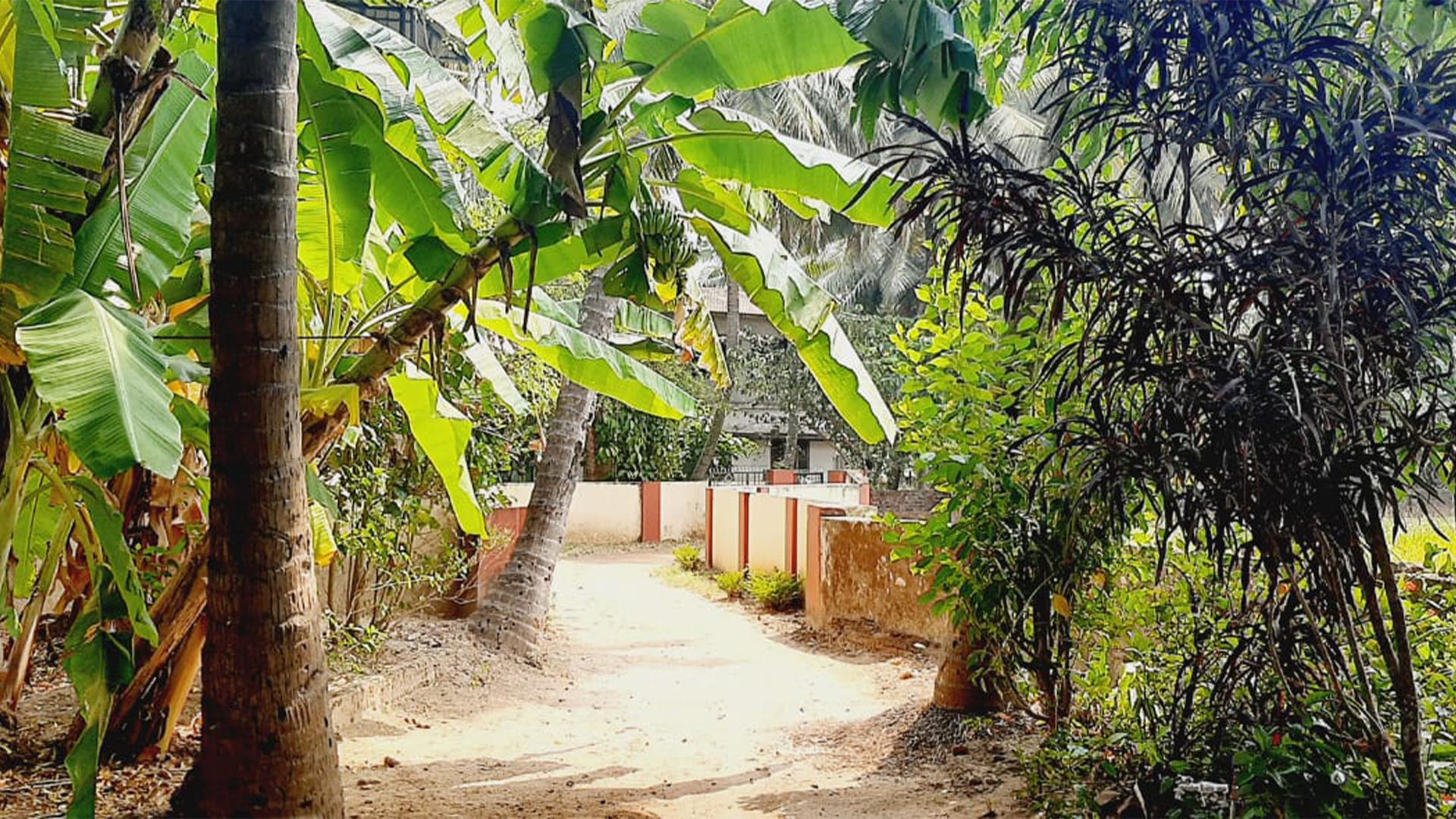 House At Chittur,palakkad - Image 2