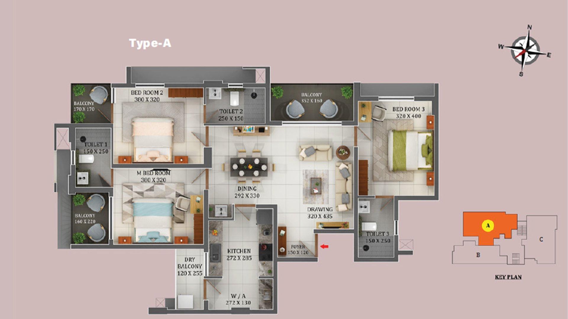 Varma Ficus - Image 5