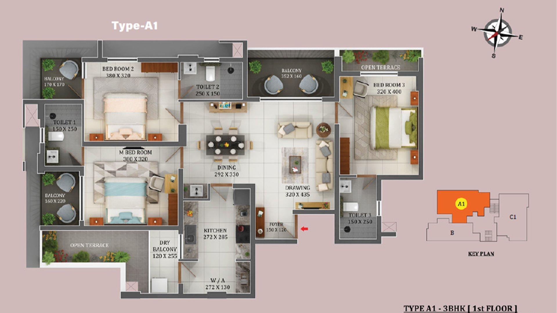 Varma Ficus - Image 6