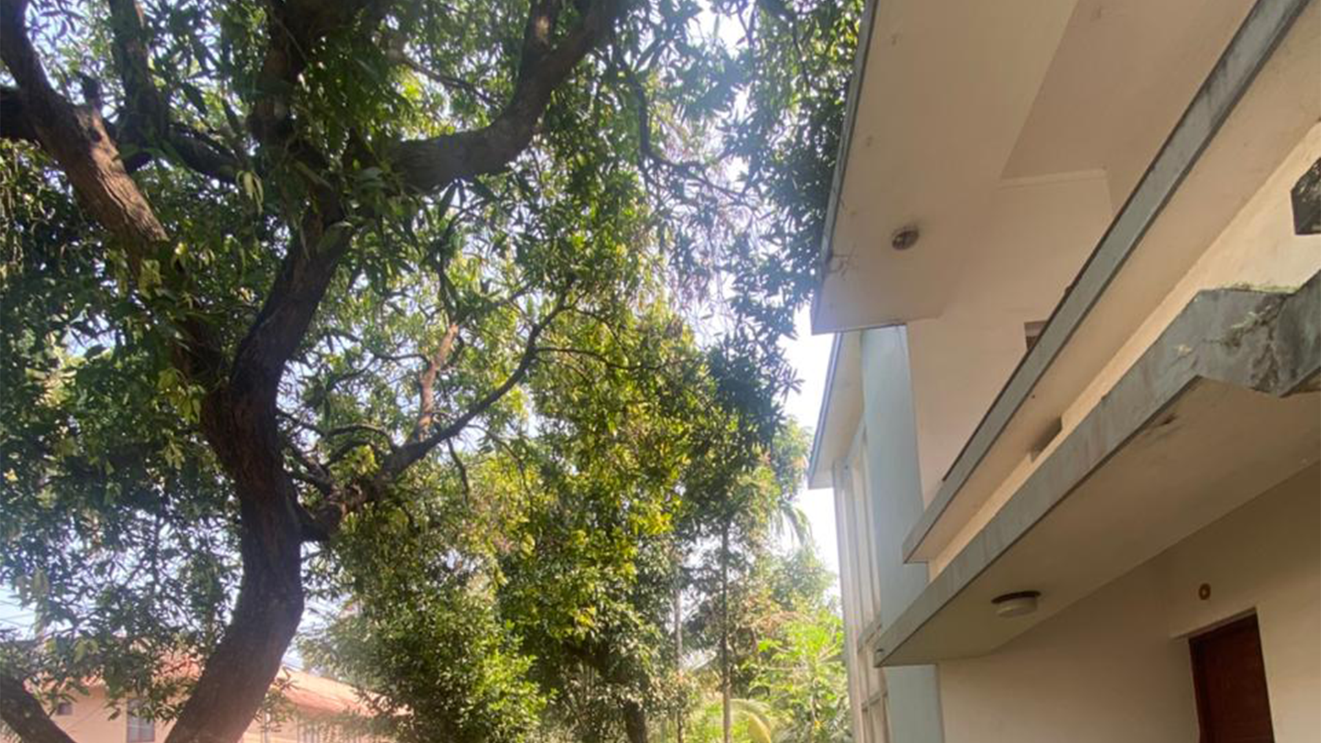 Plot At Pannempara, Kannur - Image 3