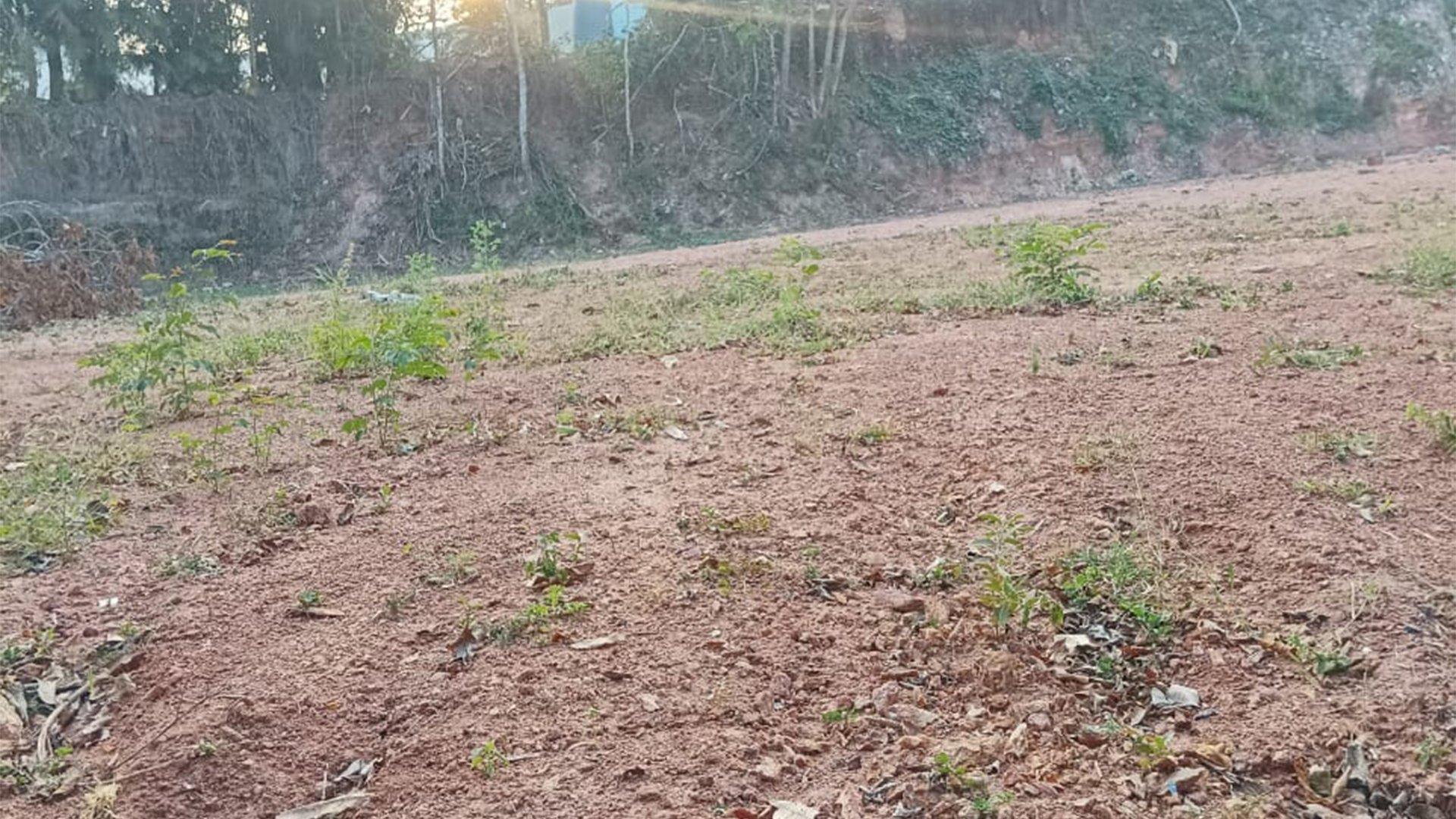 Plot At Kannur — photo 8