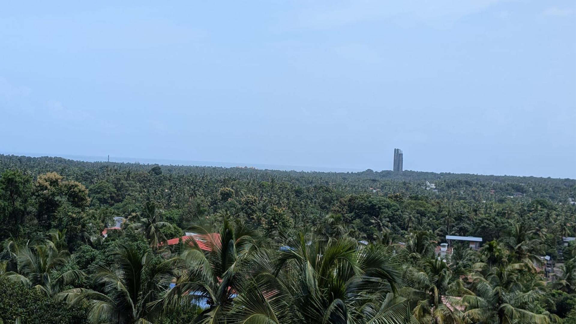 Aaranyam Heritage  — photo 4
