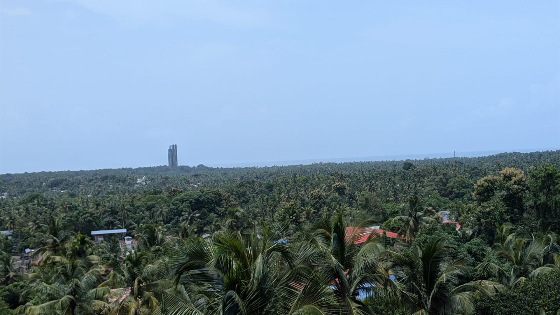 Aaranyam Heritage  — photo 5