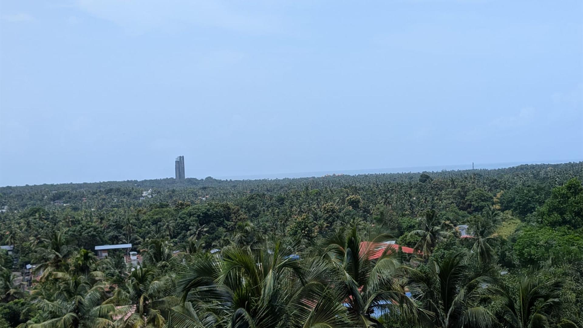 Aaranyam Heritage  — photo 7