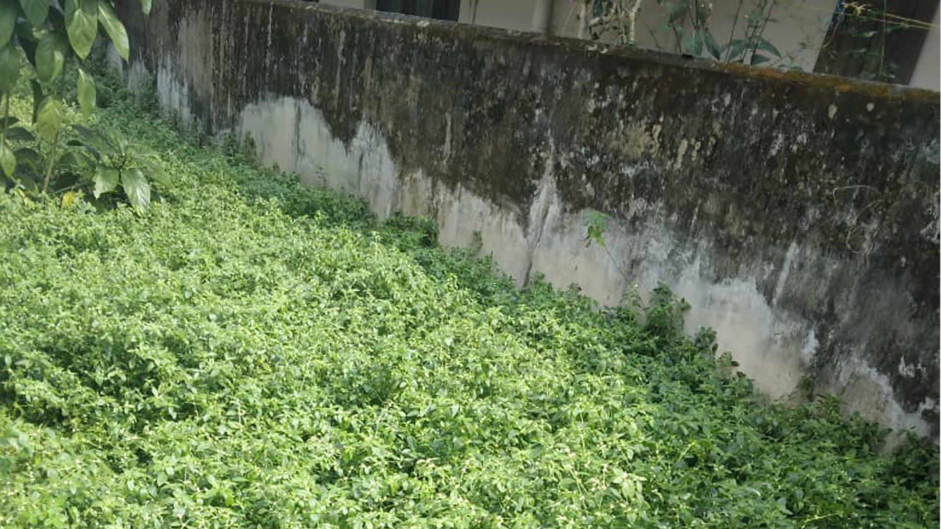 House At Thrippunathra - Image 2