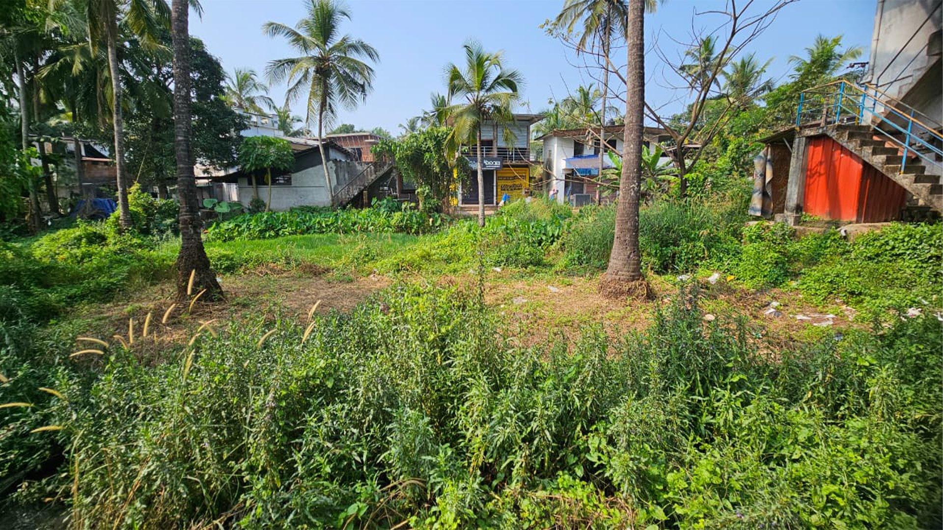 Commercial Plot At Muzhappilangad in Muzhappilangad