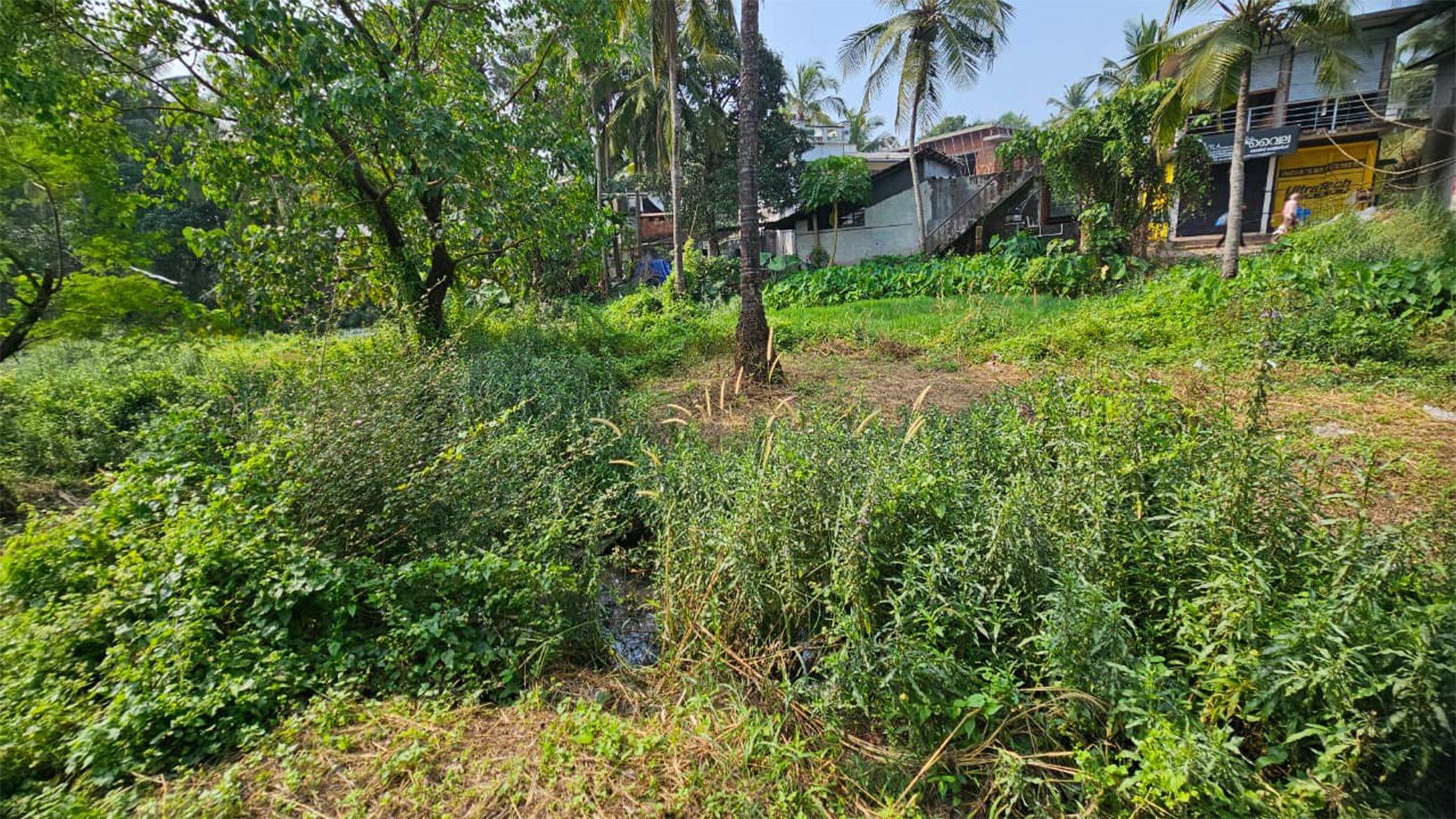 Commercial Plot At Muzhappilangad - Image 2
