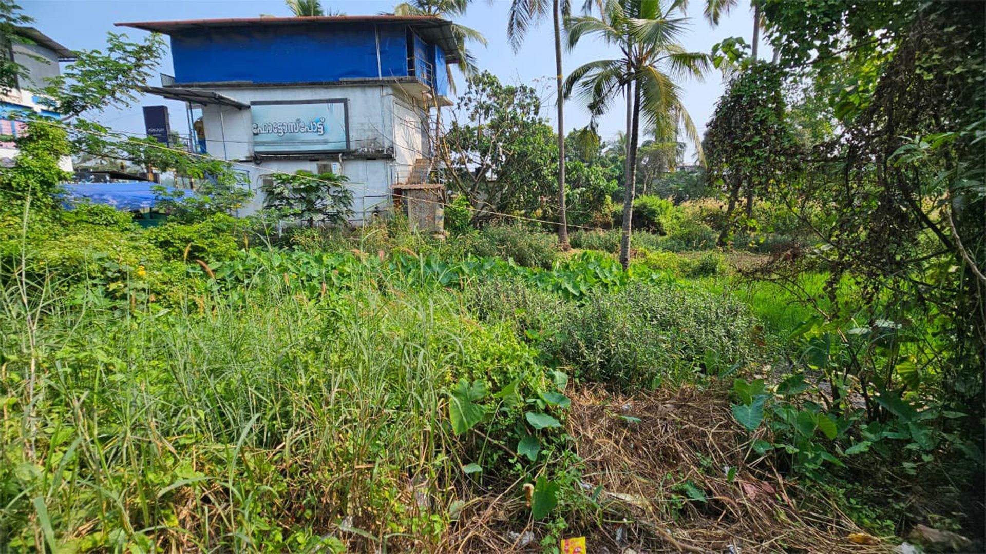 Commercial Plot At Muzhappilangad — photo 7