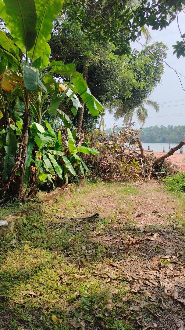 Plot At Parapparam — photo 10