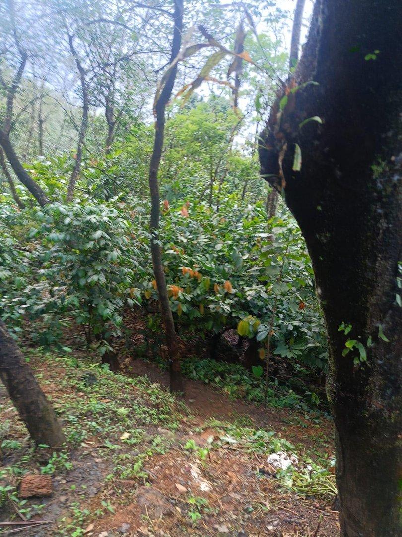 Plot At Parapparam - Image 3