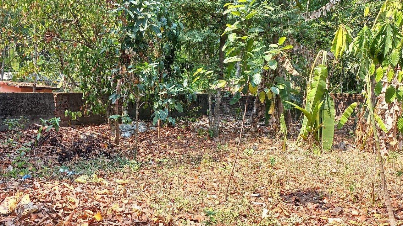 House At Kottarakara — photo 2