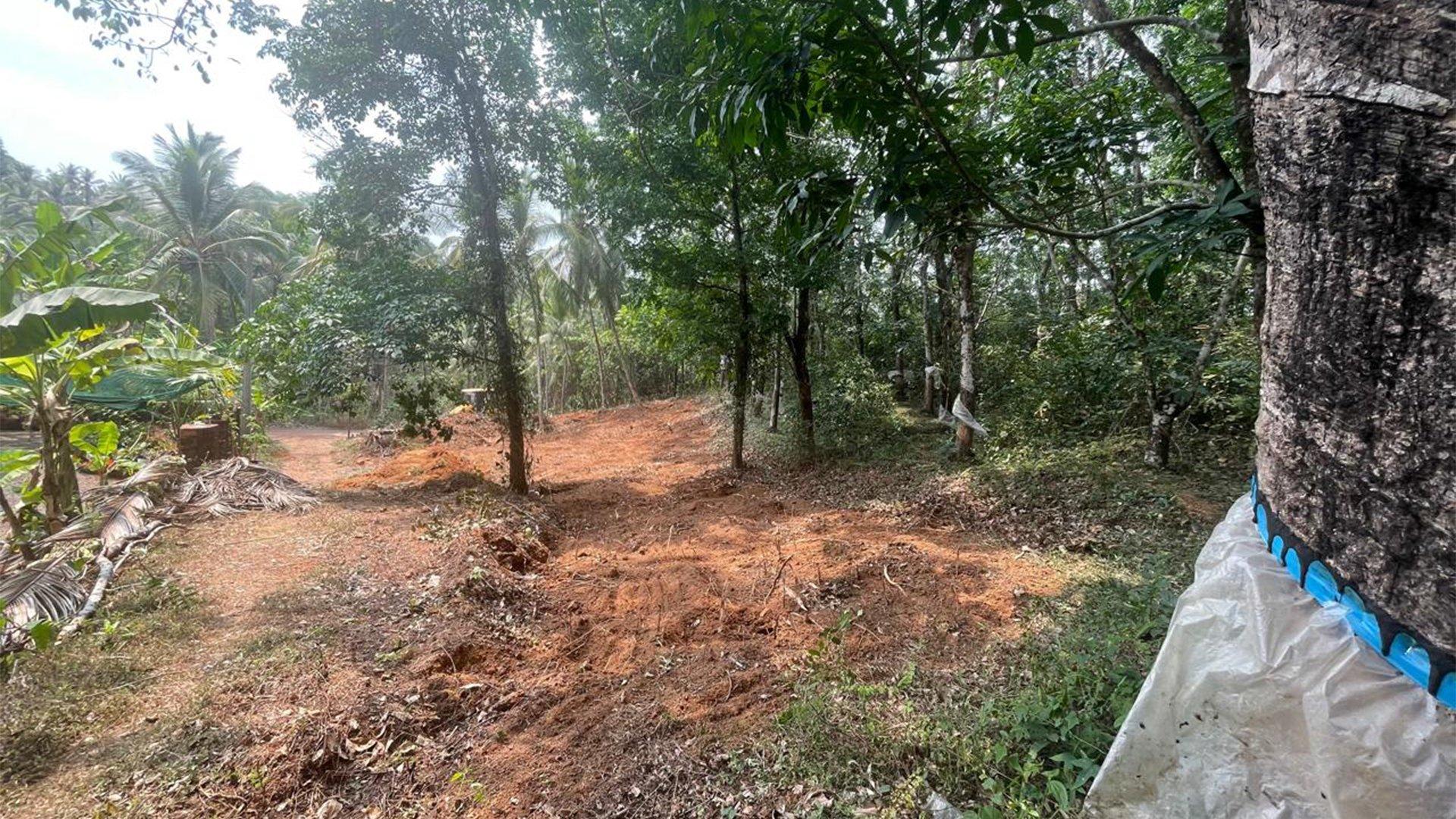 Plot At Mattannur - Image 2