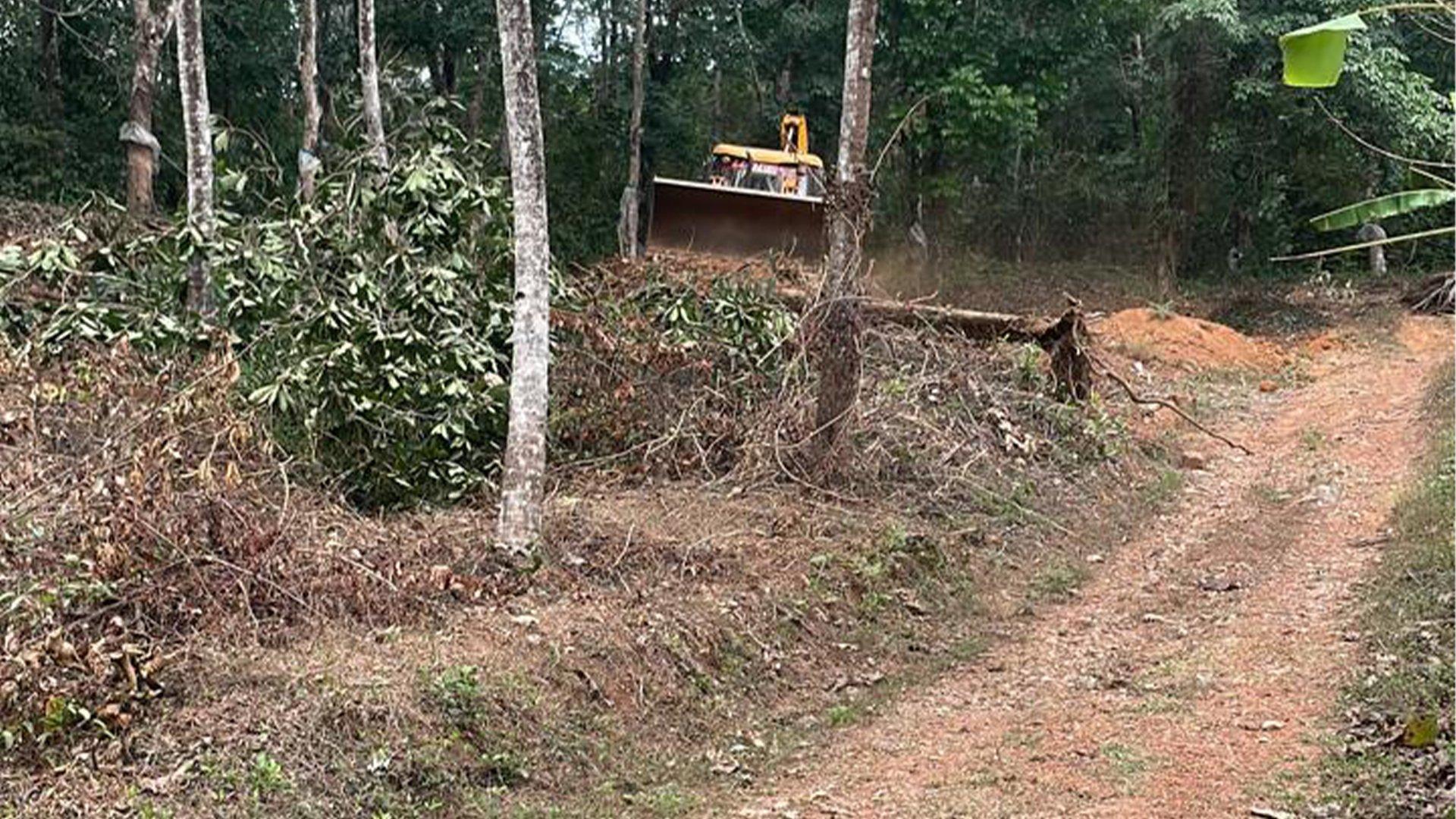 Plot At Mattannur - Image 3