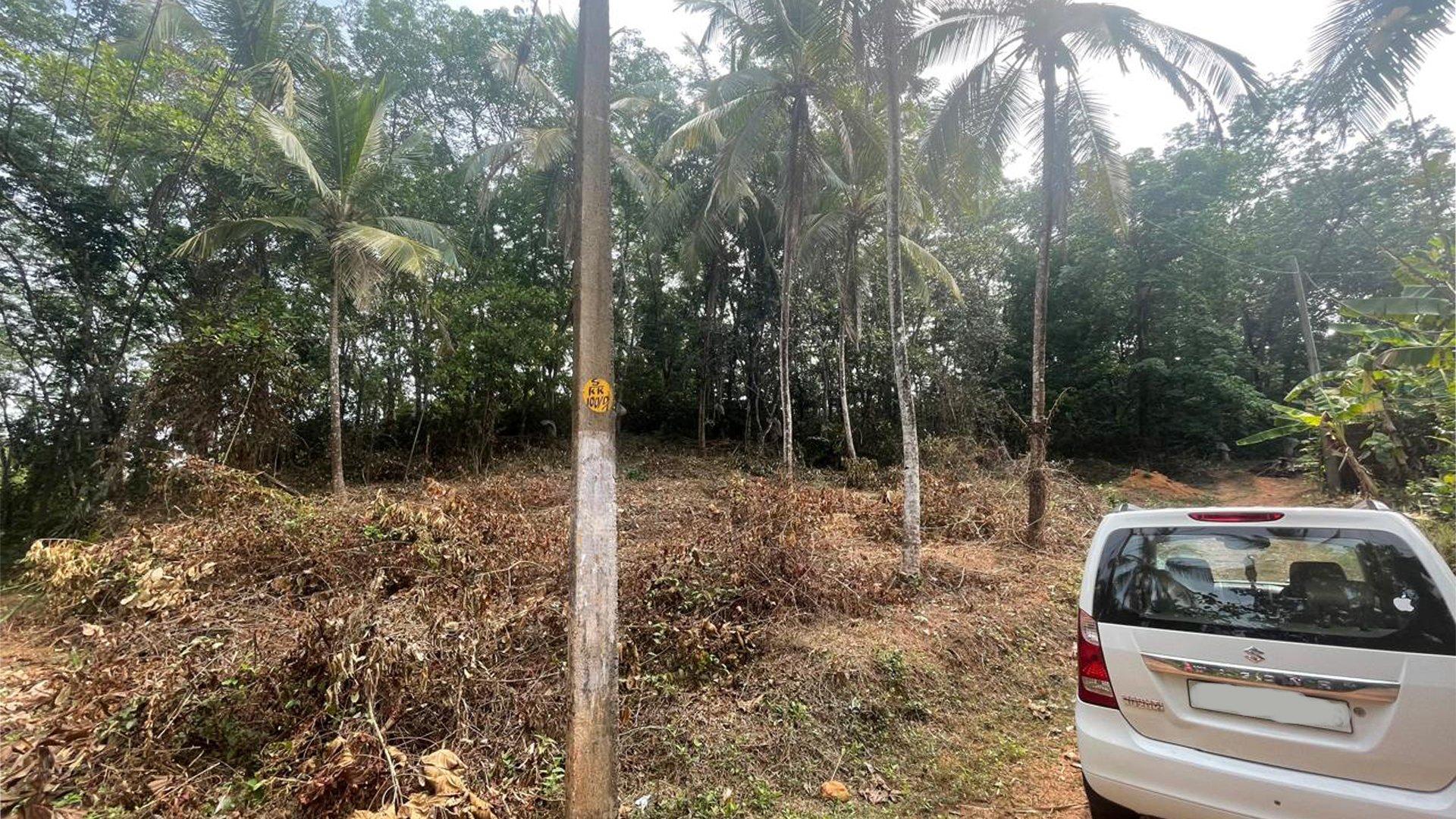 Plot At Mattannur - Image 4