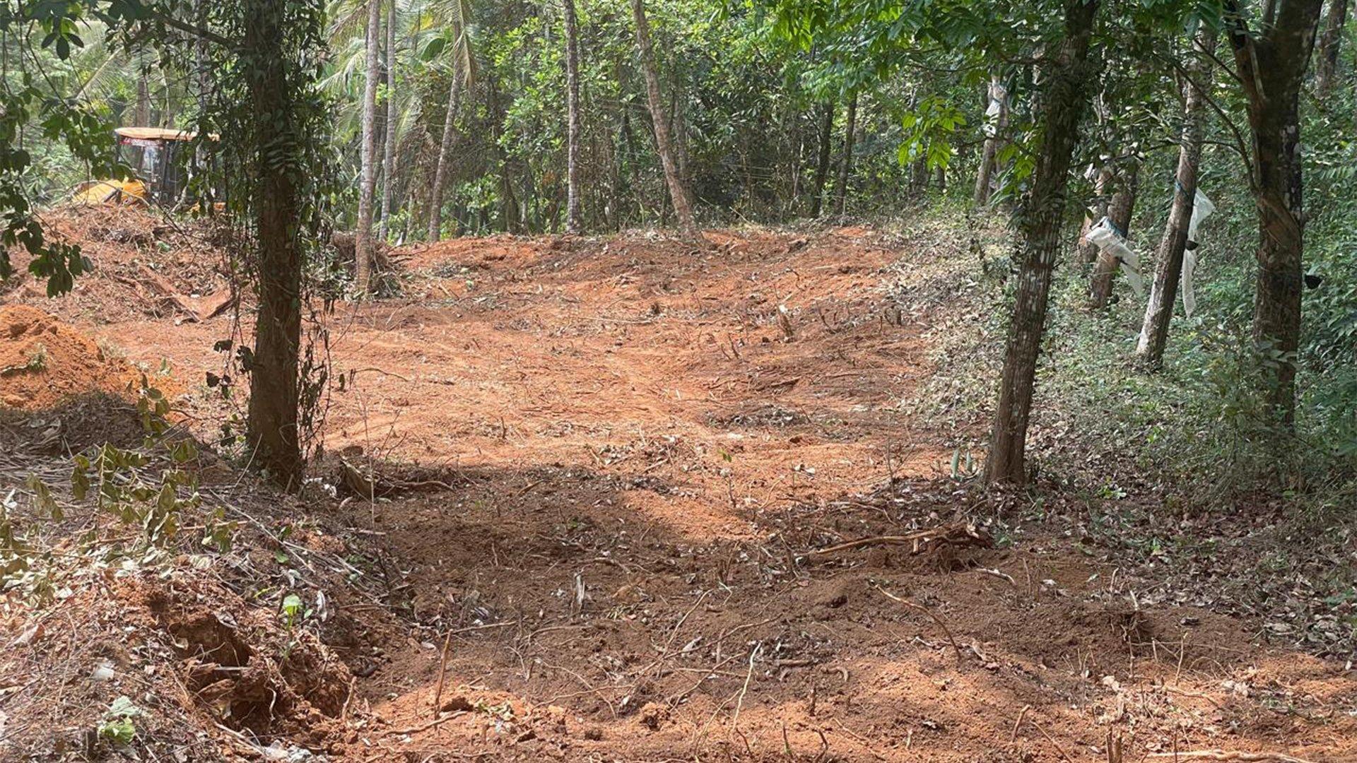 Plot At Mattannur - Image 6
