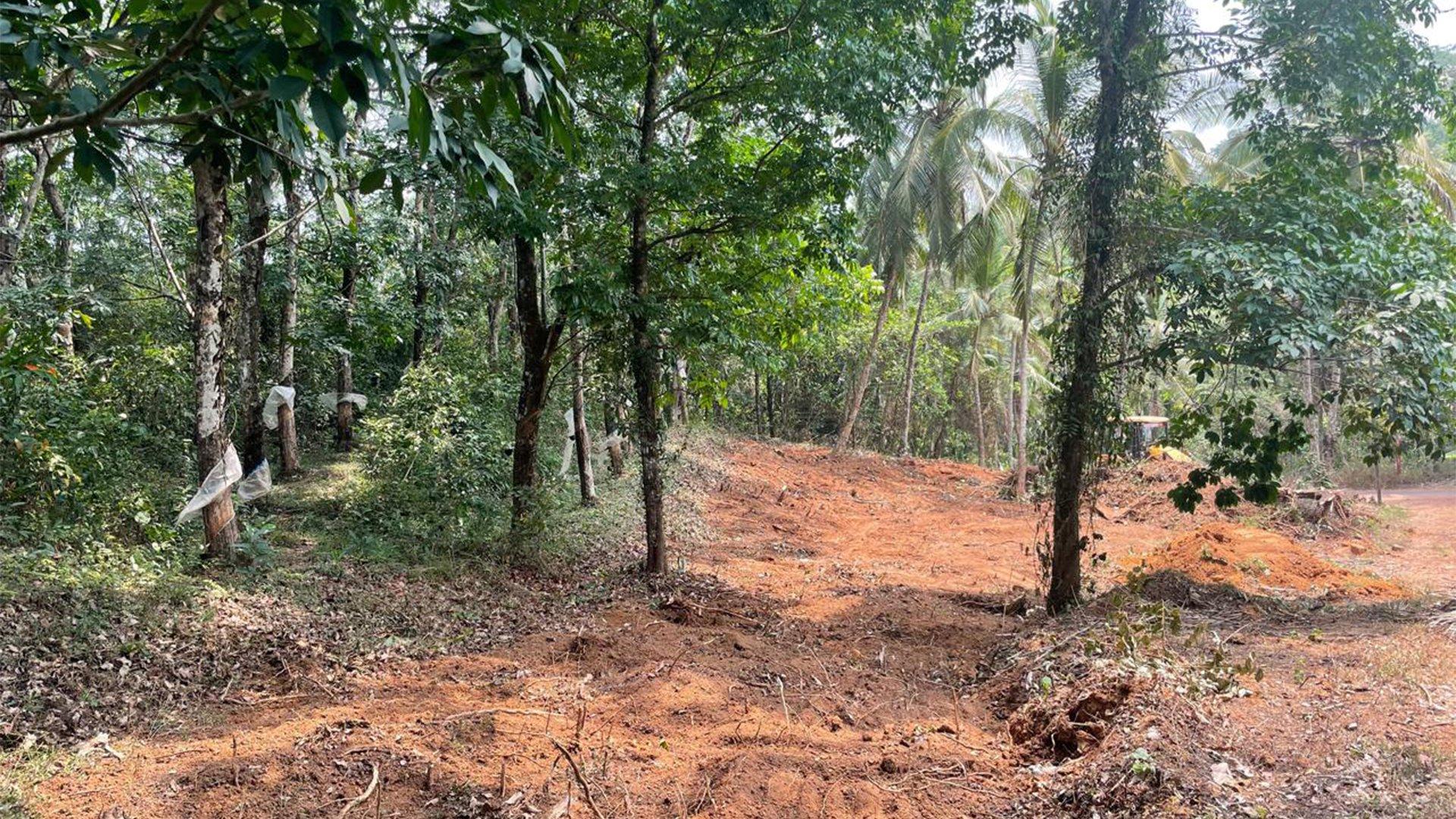 Plot At Mattannur — photo 8