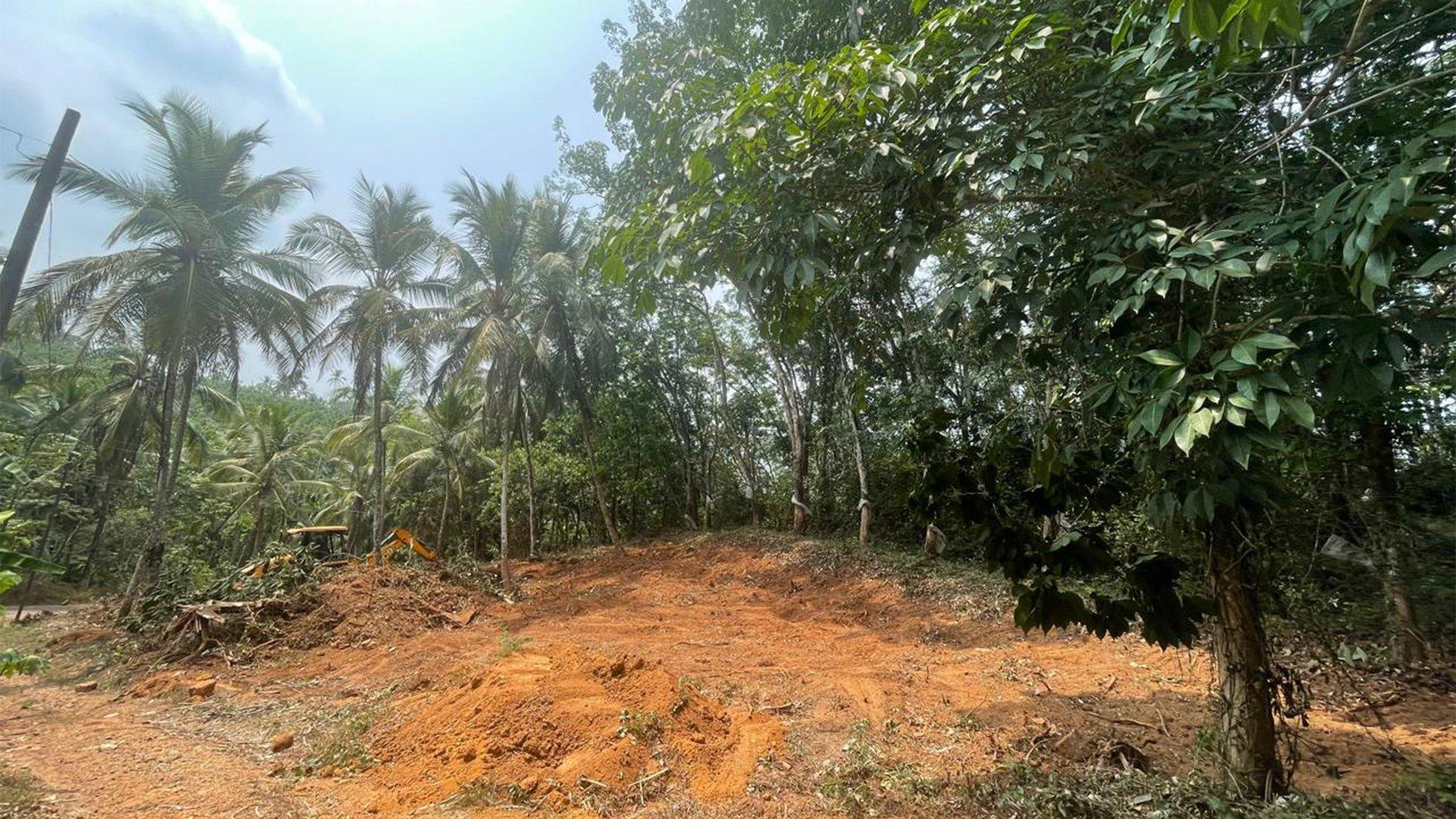 Plot At Mattannur — photo 9