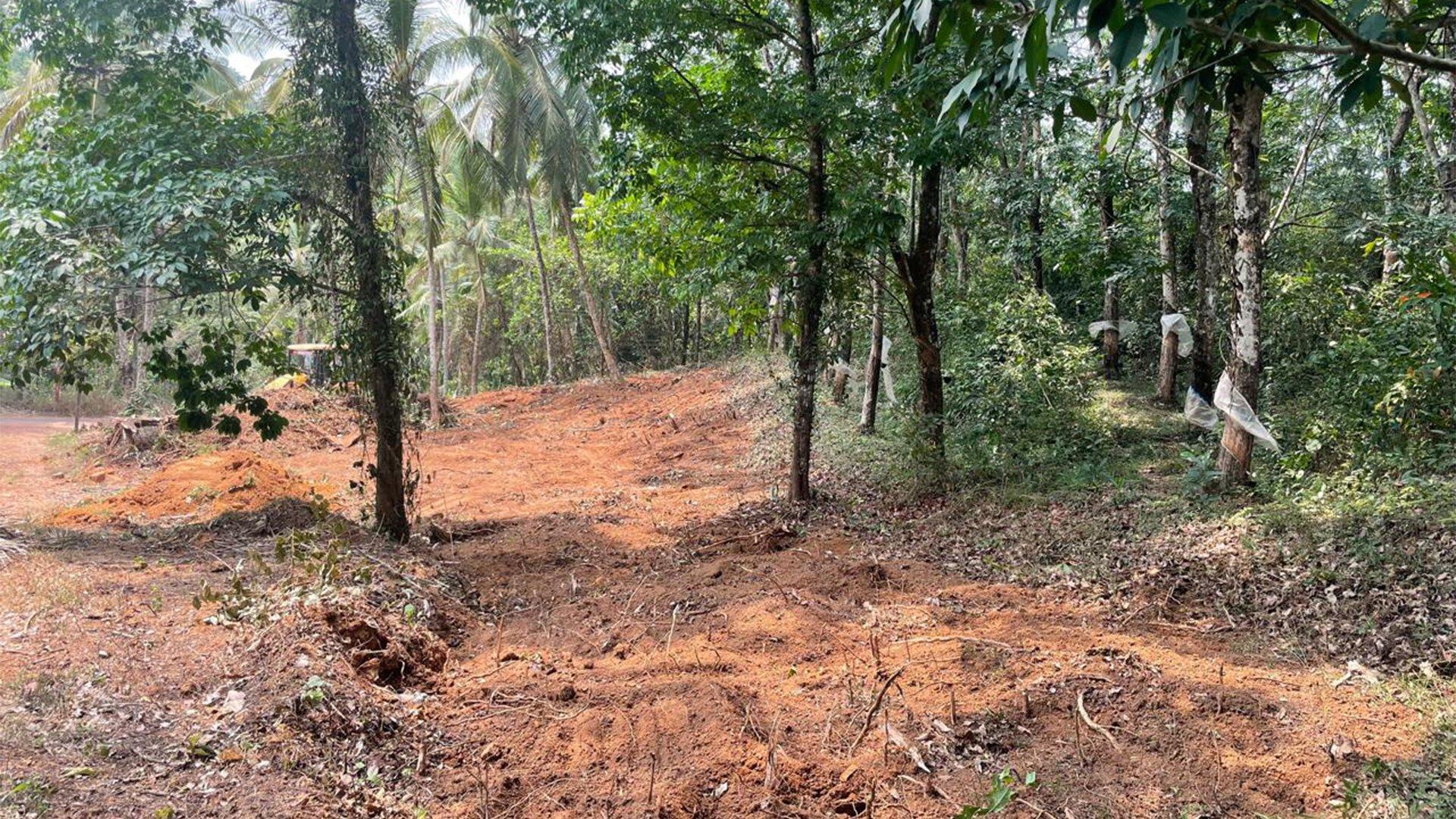 Plot At Mattannur — photo 10