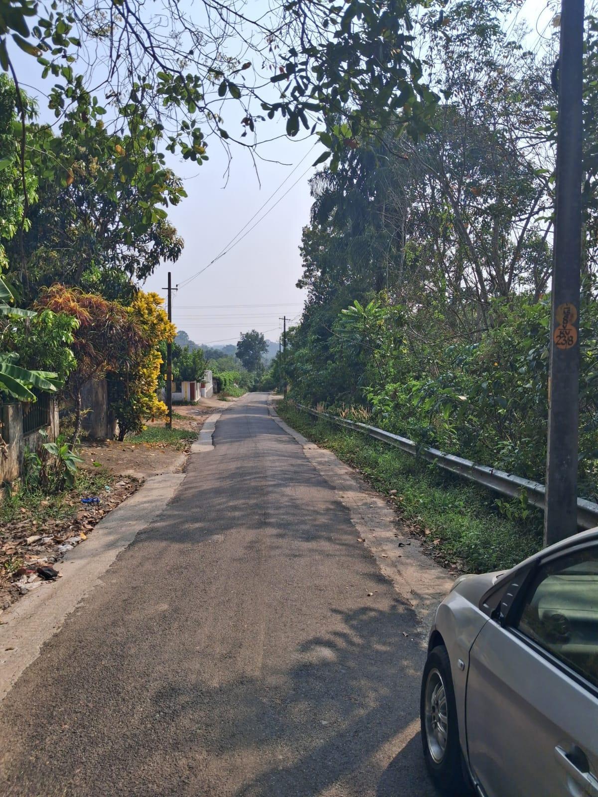 Plot at Powdikkonam — photo 2