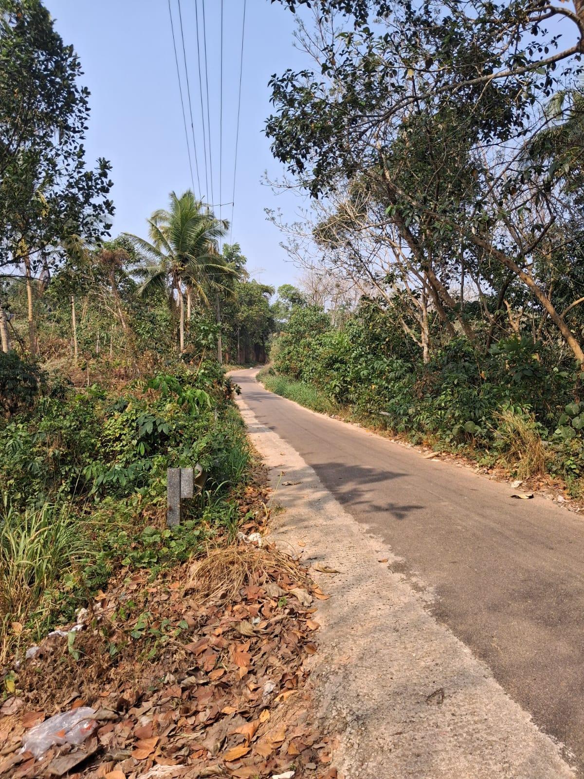 Plot at Powdikkonam — photo 3