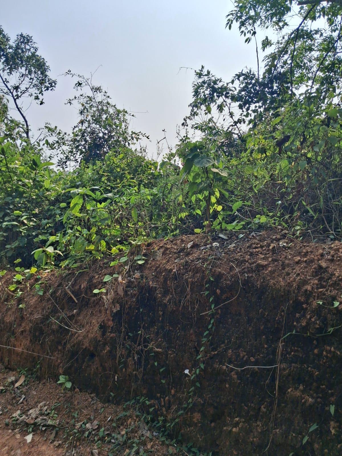 Plot at Powdikkonam — photo 1