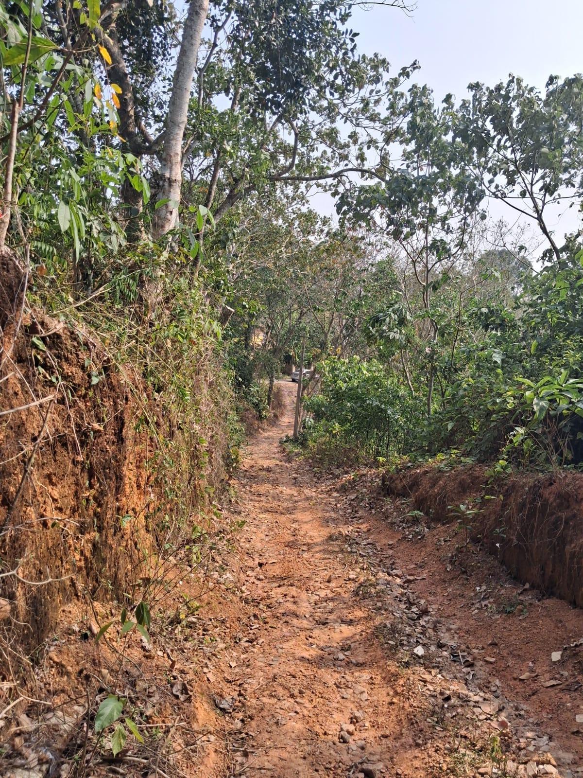 Plot at Powdikkonam — photo 5